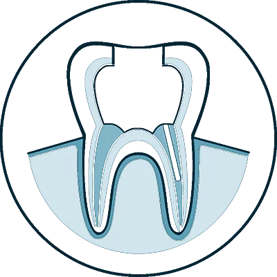 root canal icon